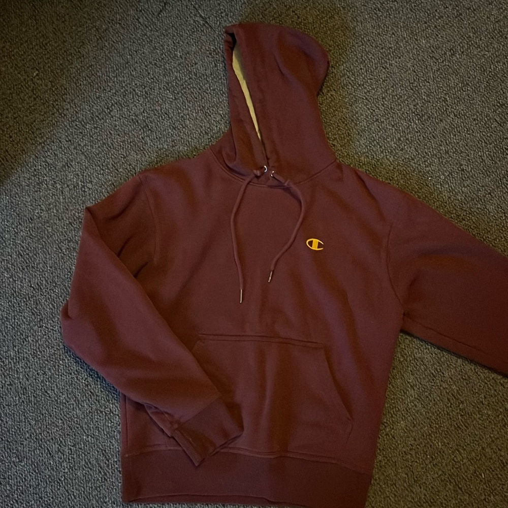 Champion hoodie